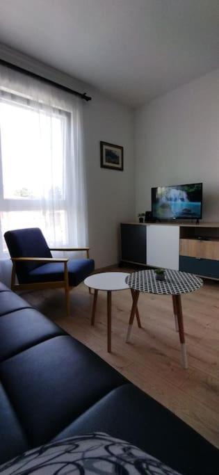 Cute Apartment Marla Art Close To Center Pula Exterior photo